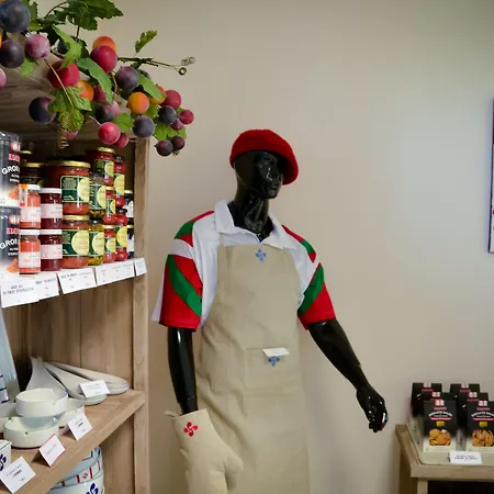 Hotel Adonis Bayonne